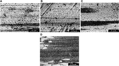 An overview of carbon-carbon composite materials and their applications